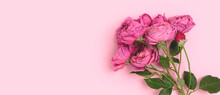 Banner With Bouquet Of Rose Flowers On A Pink Background. Springtime Romance Concept With Copyspace.