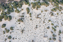 Elafonisos Sandy Coast And Vegetation Aerial View. Wild Plants And White Sand Dunes