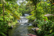 The  Hot River At Tabacon Hot Springs, La Fortuna, Costa Rica