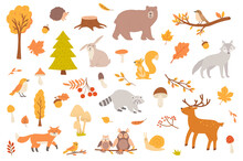 Autumn Forest With Animal Isolated Objects Set. Collection Of Fall Trees And Leaves, Mushrooms, Bear, Wolf, Squirrel, Raccoon, Deer, Owl, Fox. Illustration Of Design Elements In Flat Cartoon