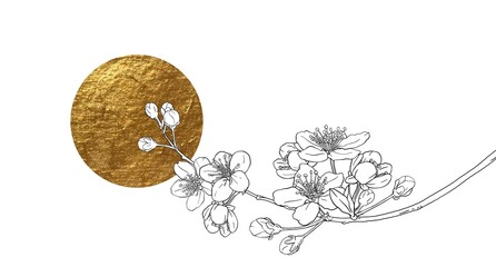 Hand drawn branch of sakura with blooms, flowers, leaves, petals. Golden sircle, sun. Modern line art style.