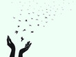 Bird set free , bird flying for freedom from an open hand, freedom concept, silhouette of a bird released from hand. World bird day. vector illustrations