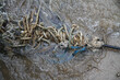 weathered knots and rope of fisher boat in water, close up