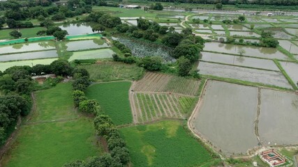 Wall Mural - Drone fly over the field