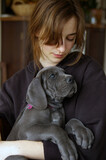 Fototapeta  - 
Piękna  młoda dziewczyna ze szczeniakiem doga niemieckiego błękitnego na rękach

