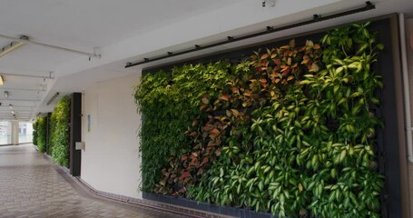 Wall Mural - Green plant wall outside the building