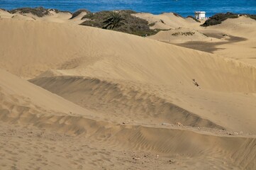 Wall Mural - footprints on beach, photo picture digital image , in maspalomas, gran canaia