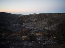 Burnt Mountain After Fire 