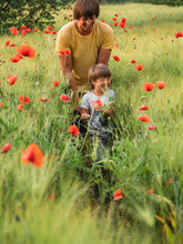 Little Boy Sees Poppies First Time In His Life. Father And Son On Rye Field With Red Flowers At Sunset. Sincere Kid's Emotions. Child Explores Nature At Warm Season.