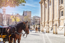 Close-up Of A Horse With A Cart On The Background Of The Alcazar And The Cathedral Of Seville In Andalusia, Spain.