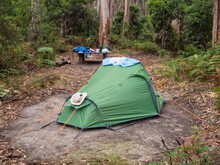 Tent On The Elliot Ridge Great Ocean Walk Campground - Elliot Ridge, Victoria, Australia