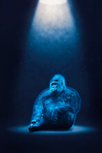 Gorilla Hologram In The Cyberspace