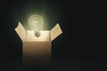 Wall Mural - bright light bulb get out from the cardboard box
