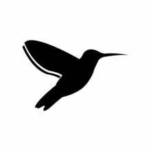 Hummingbird Vector Icon, Hummingbird Silhouette Design