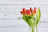 Fototapeta Tulipany - tulips with white wood plank wall