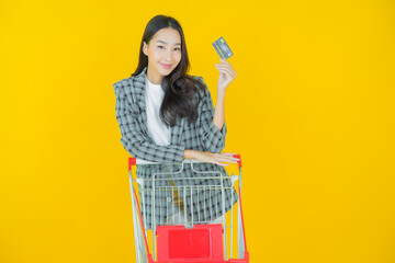 Wall Mural - Portrait beautiful young asian woman smile with grocery basket