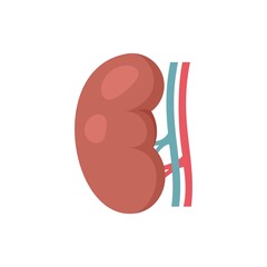 Sticker - Kidney icon flat isolated vector