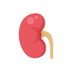 Canvas Print - Pain kidney icon flat isolated vector