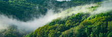 Mountain In The Fog. Morning Fog Covered Mountains And Forests On A Summer Day. Ecology Concept.
