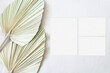 Wedding suite mockup with leaf palm on the beige background