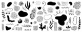 Fototapeta  - Organic shapes, spots, plants, lines, dots. Vector set of minimal trendy abstract hand drawn elements for graphic design