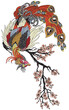 a magical phoenix sitting on a blossom sakura branch. Chinese mythological bird Feng Huang. One of celestial Feng shui creatures. Vector illustration 