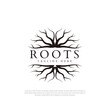 Black geometric root design logo design template symbol ,icon abstract