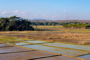 Wall Mural - Agriculture in countryside with farmer working in farm, Irrigate the fields to prepare the soil for rice cultivation, Landscape view with mountain as background, Chae Hom District, Lampang, Thailand.