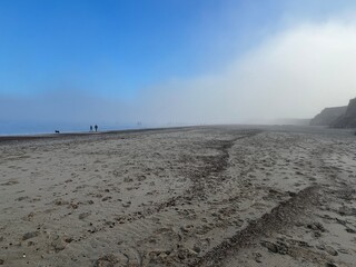 Wall Mural - Vast beautiful landscape of sandy beach with walker and dogs in distance by the ocean shore at Happisburgh in Norfolk East Anglia in misty environment in Winter