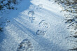 Footprint in the fresh snow. Texture of snow surface. Magic winter time.