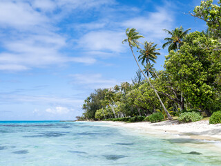 Wall Mural - summer vacation on a tropical island with palm trees