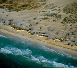 Wall Mural - Fishing Village Atlantic Coast Sahara Desert Mauritania Africa
