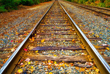 Autumn Leaves On Railroad Tracks