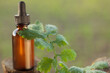 Bottle with essential oil in outdoors. Copy space, Alternativ medicine koncept.
