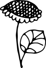 Sunflower. Vector Illustration.