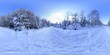 © Ruchacz - Forest in Winter Covered in snow HDRI Panorama