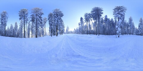 Wall Mural - Forest in Winter Covered in snow HDRI Panorama