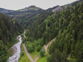 Wall Mural - View on Bon Nant mountain river, green forests and apline meadows near Saint-Gervais-les-Bains, Savoy. France