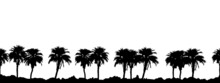 Palm Trees Silhouette Landscape