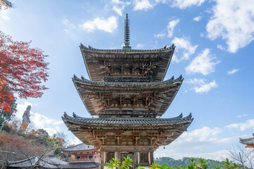 Canvas Print - 壺阪寺