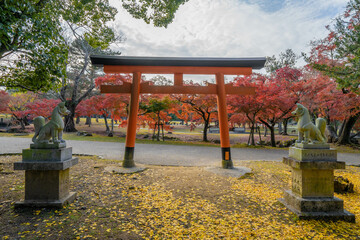 Canvas Print - 奈良公園