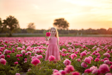 Little beautiful girl in a peony field on sunset background