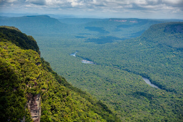 Wall Mural - Jungles of Yaki Mountain and Potaro River Region Kaieteur National Park Guyana