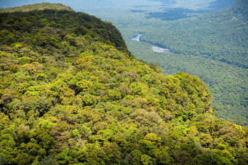 Wall Mural - Jungles of Yaki Mountain and Potaro River Region Kaieteur National Park Guyana