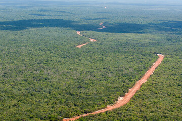 Wall Mural - Jungle and Road to Linden Guyana