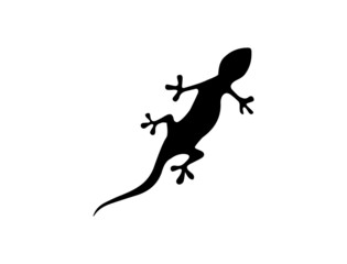 Canvas Print - lizard icon vector 