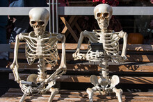 Skeletons With A Smartphone In Their Hands Using Social Network. Holiday Decoration Of Storefront, Happy Halloween.