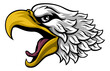 Bald Eagle or Hawk Mascot Head Face Cartoon