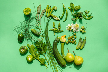 Sticker - green vegetables on the green background