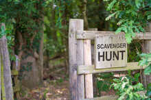 Scavenger Hunt Sign In Forest Woodland On Wood Background